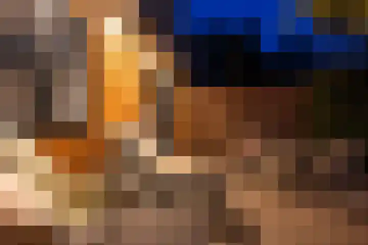 Turfveldenstraat 14 Eindhoven thumbnail 64
