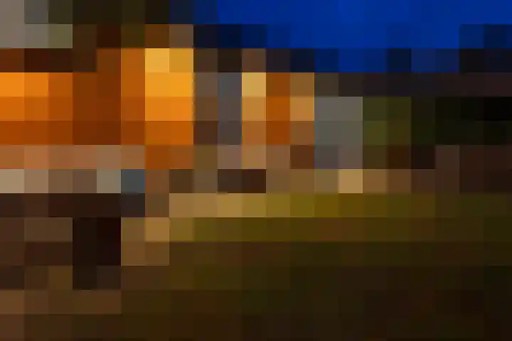 Turfveldenstraat 14 Eindhoven thumbnail 65