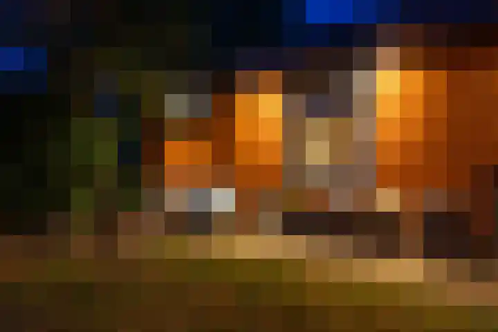 Turfveldenstraat 14 Eindhoven thumbnail 66