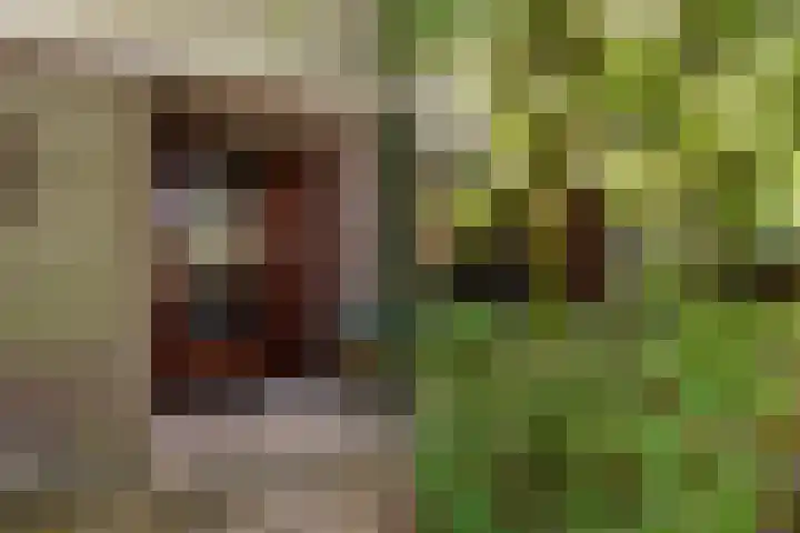 Turfveldenstraat 14 Eindhoven thumbnail 8