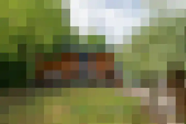 Turfveldenstraat 14 Eindhoven thumbnail 9