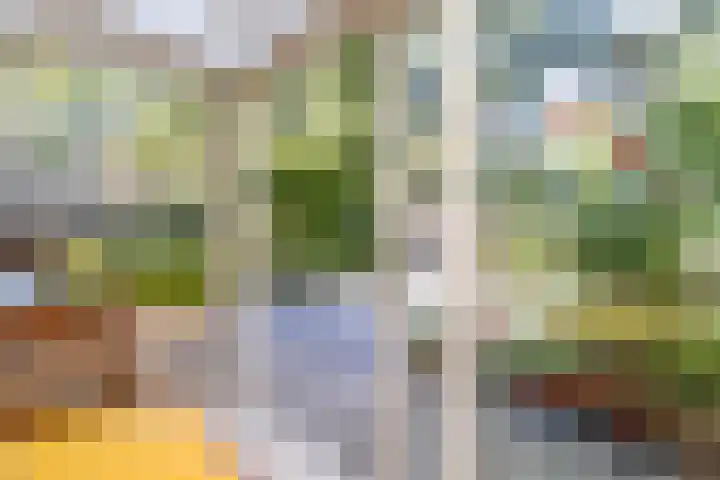 Turfveldenstraat 22 Eindhoven thumbnail 14