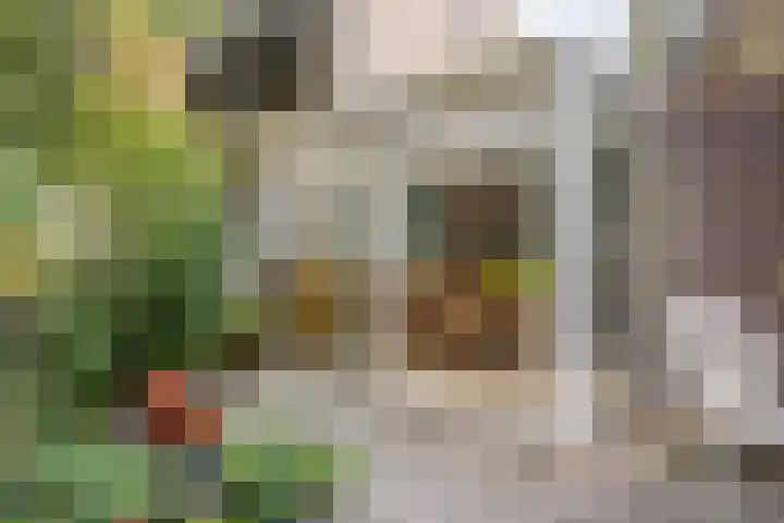 Turfveldenstraat 22 Eindhoven thumbnail 15