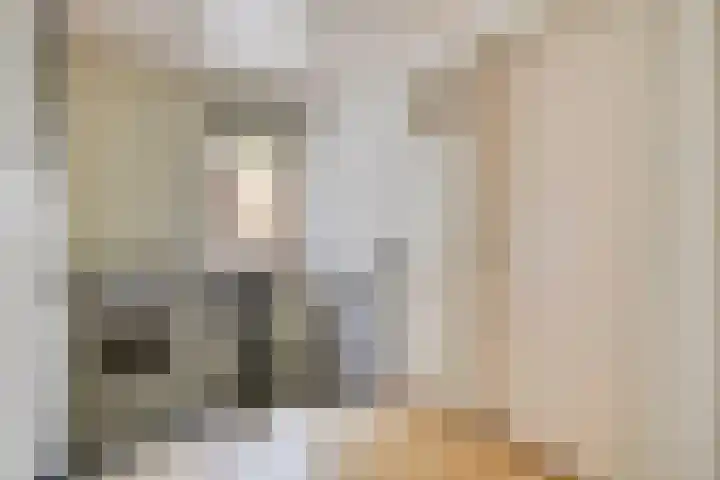 Turfveldenstraat 22 Eindhoven thumbnail 21