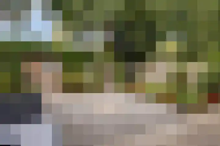 Turfveldenstraat 22 Eindhoven foto 3