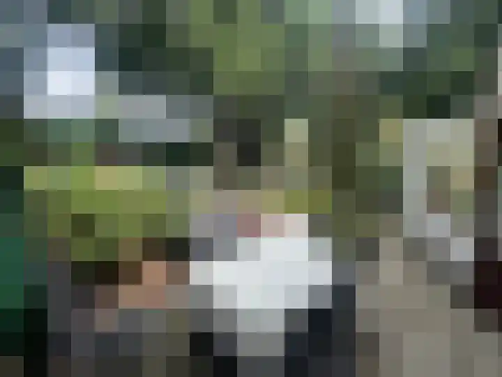 Turfveldenstraat 22 Eindhoven thumbnail 33