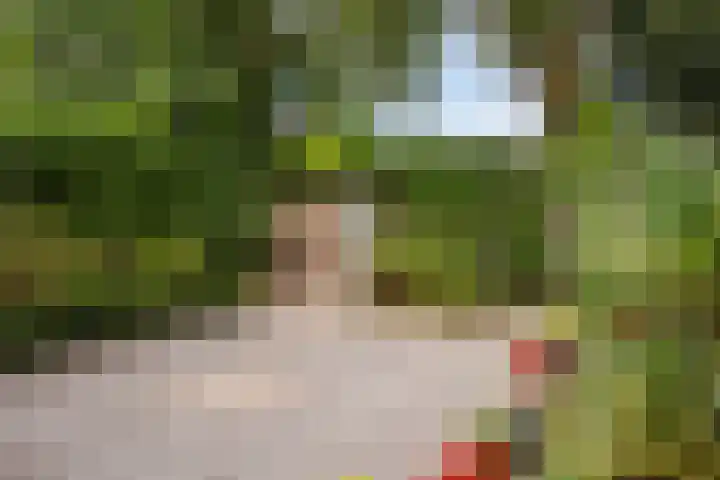 Turfveldenstraat 22 Eindhoven thumbnail 35