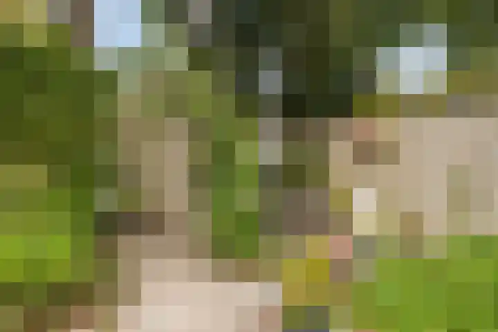 Turfveldenstraat 22 Eindhoven thumbnail 36