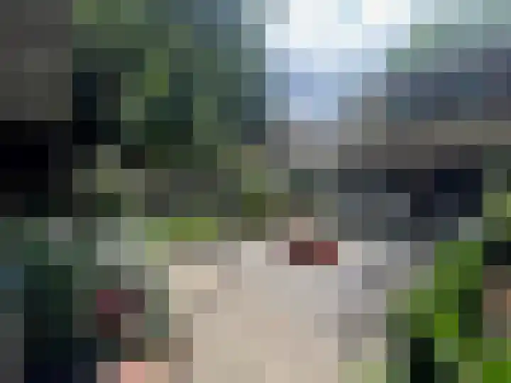 Turfveldenstraat 22 Eindhoven thumbnail 37