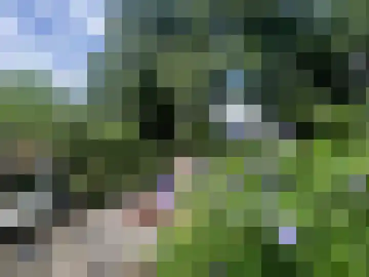 Turfveldenstraat 22 Eindhoven thumbnail 38