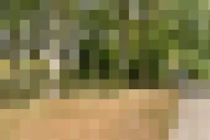 Turfveldenstraat 22 Eindhoven thumbnail 39