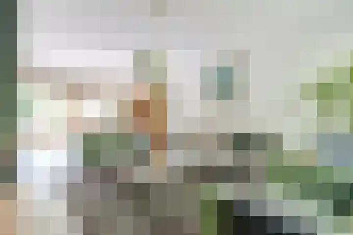 Turfveldenstraat 32 Eindhoven thumbnail 11