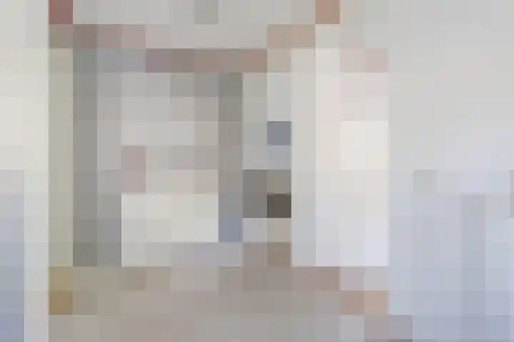 Turfveldenstraat 32 Eindhoven thumbnail 30