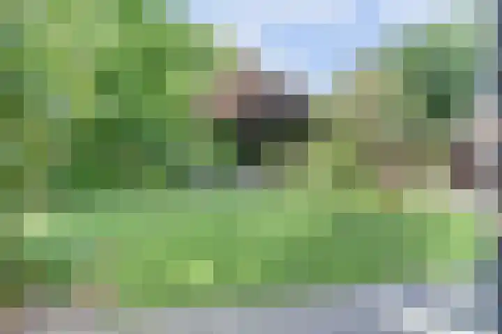 Turfveldenstraat 32 Eindhoven thumbnail 37