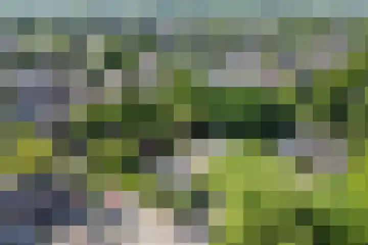 Turfveldenstraat 32 Eindhoven thumbnail 47