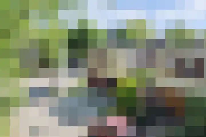Turfveldenstraat 32 Eindhoven thumbnail 51