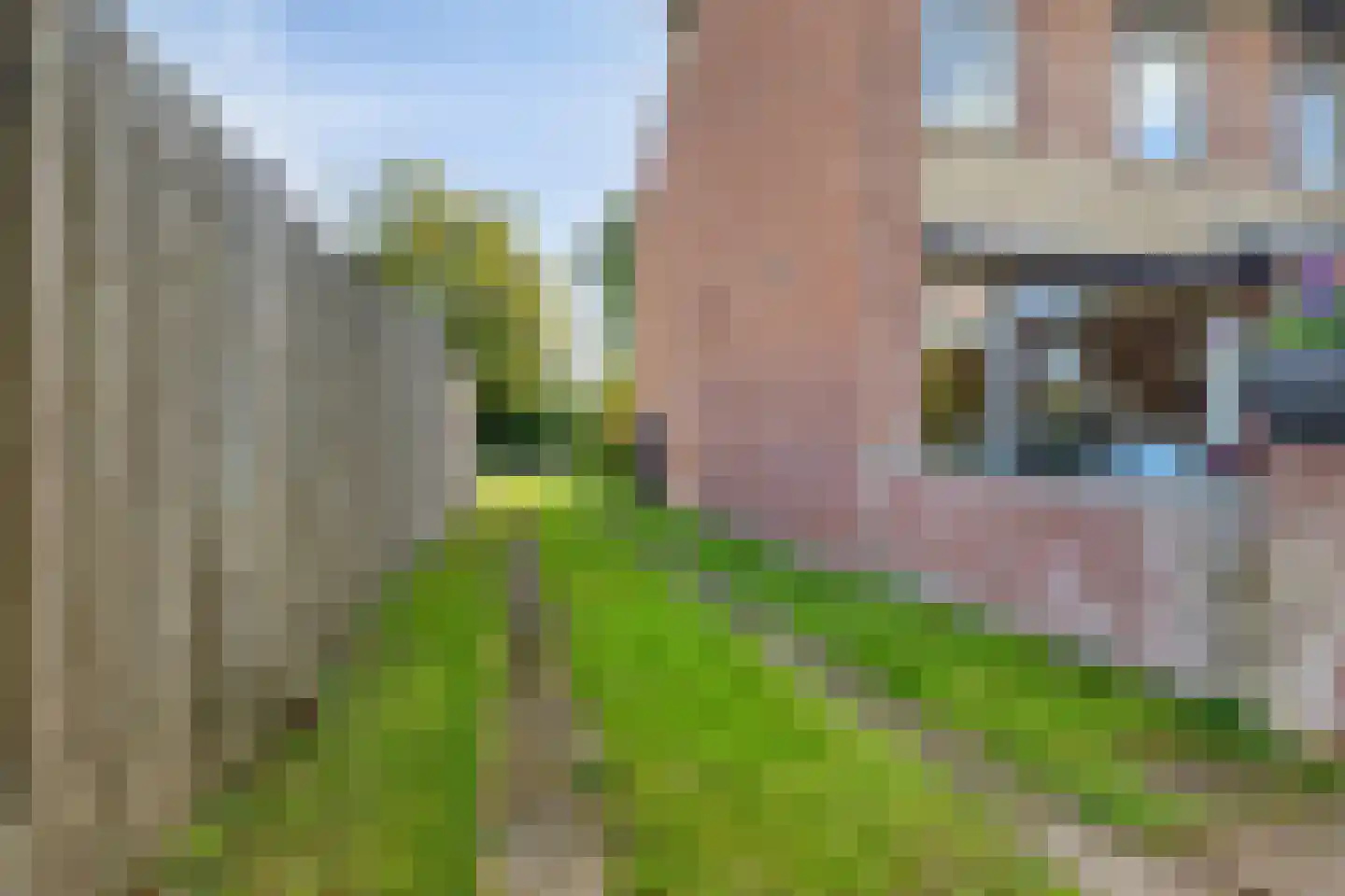Turfveldenstraat 33 Eindhoven thumbnail 48