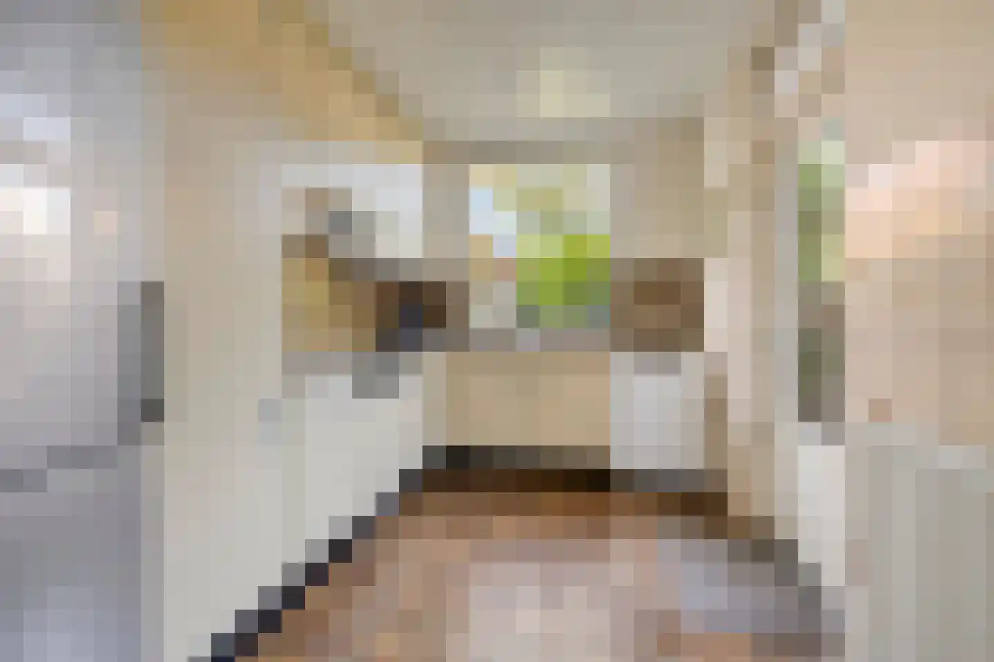 Turfveldenstraat 33 Eindhoven thumbnail 5