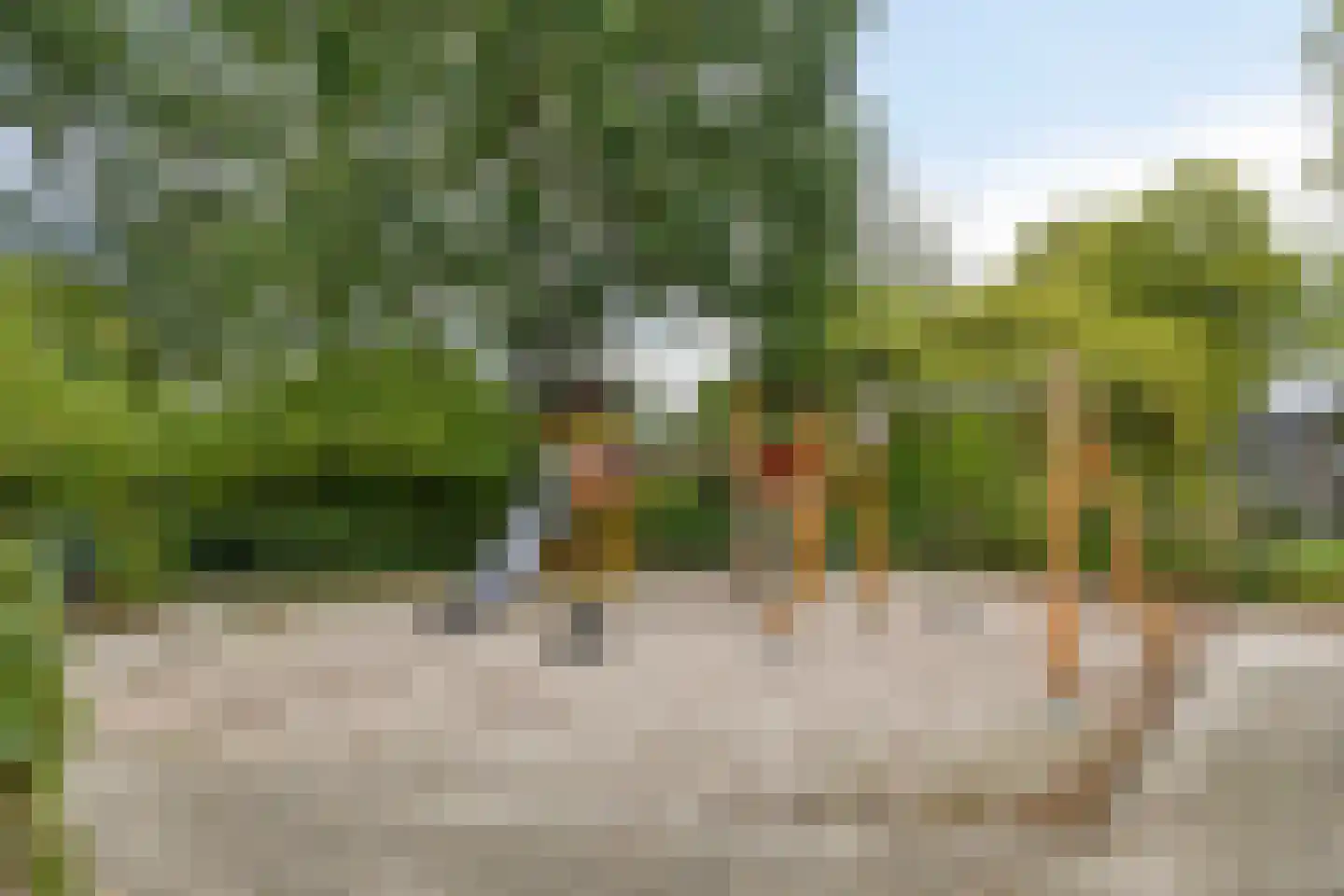 Turfveldenstraat 33 Eindhoven thumbnail 55
