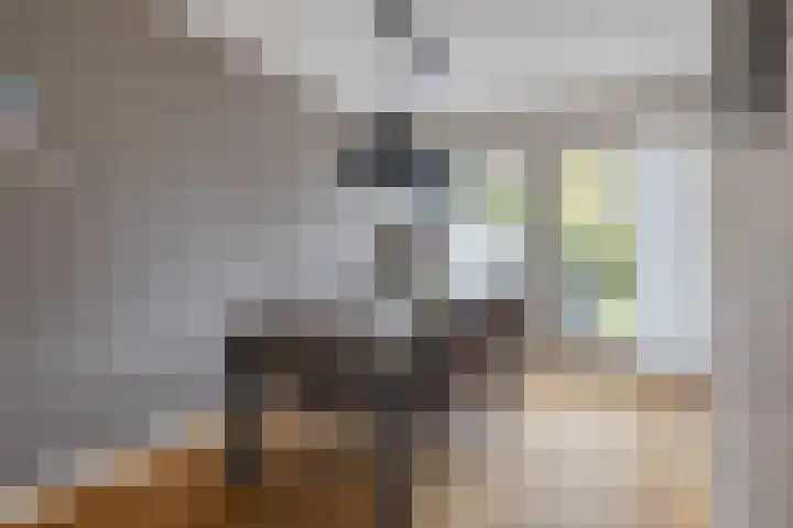Turfveldje 5 Helenaveen thumbnail 10