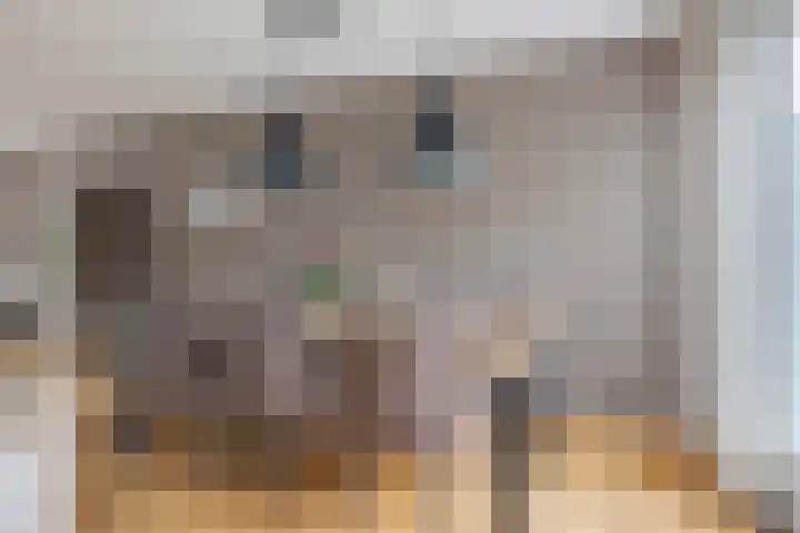 Turfveldje 5 Helenaveen thumbnail 11