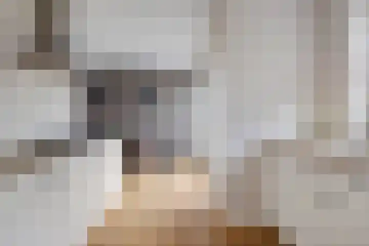 Turfveldje 5 Helenaveen thumbnail 13