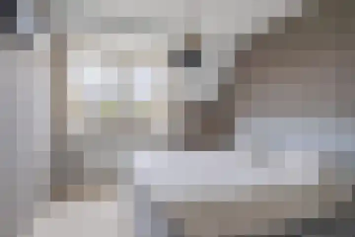 Turfveldje 5 Helenaveen thumbnail 22