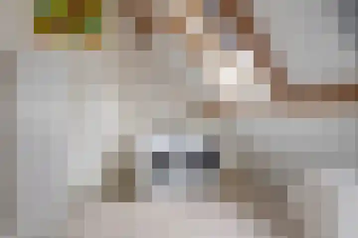 Turfveldje 5 Helenaveen thumbnail 31