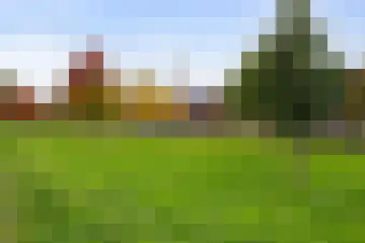 Turfveldje 5 Helenaveen thumbnail 38