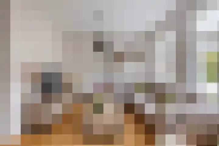 Turfveldje 5 Helenaveen thumbnail 5
