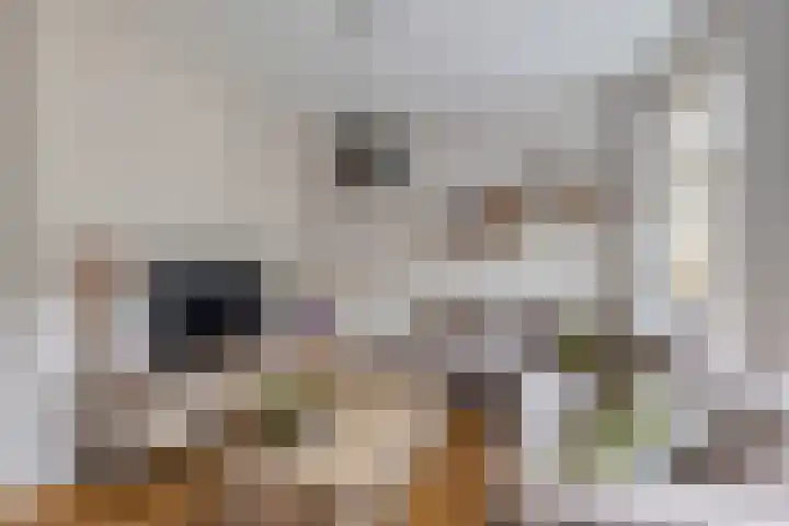 Turfveldje 5 Helenaveen thumbnail 6