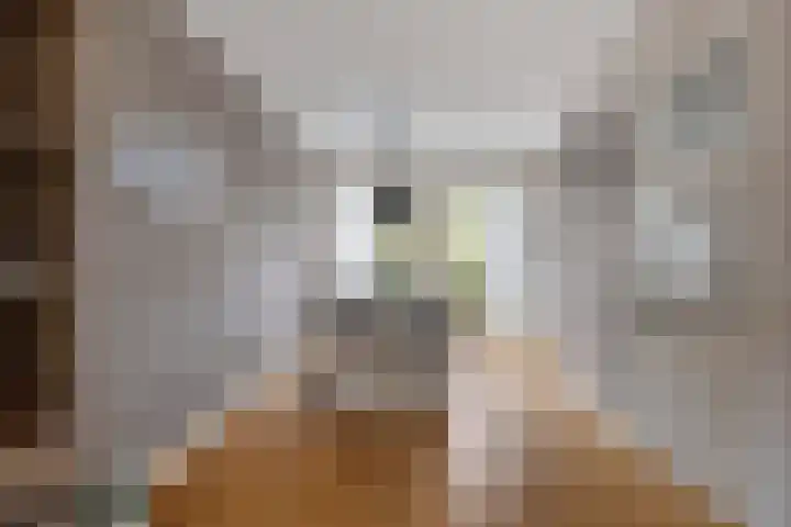 Turfveldje 5 Helenaveen thumbnail 8