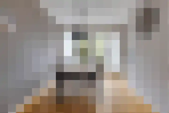 Turfveldje 5 Helenaveen thumbnail 9