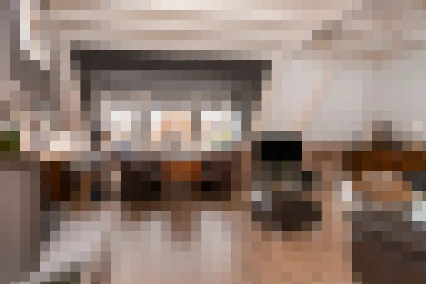 Turfwal 5 Bunschoten-Spakenburg thumbnail 10