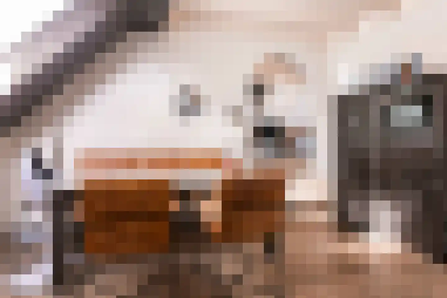 Turfwal 5 Bunschoten-Spakenburg thumbnail 18