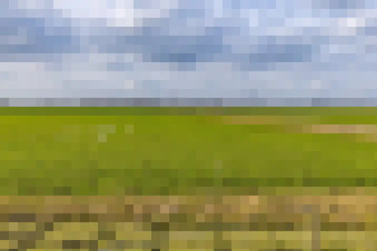 Turfweg 1 Blijham thumbnail 4