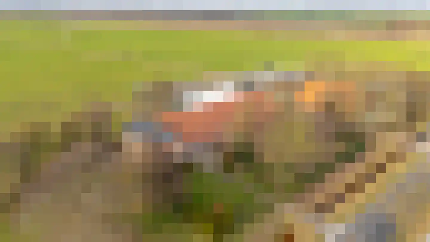 Turfweg 1 Blijham thumbnail 43