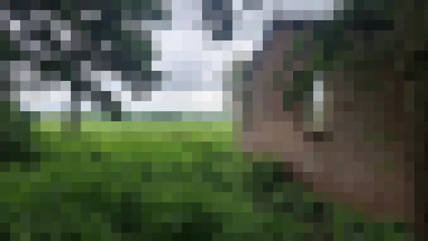 Turfweg 10 Blijham thumbnail 6