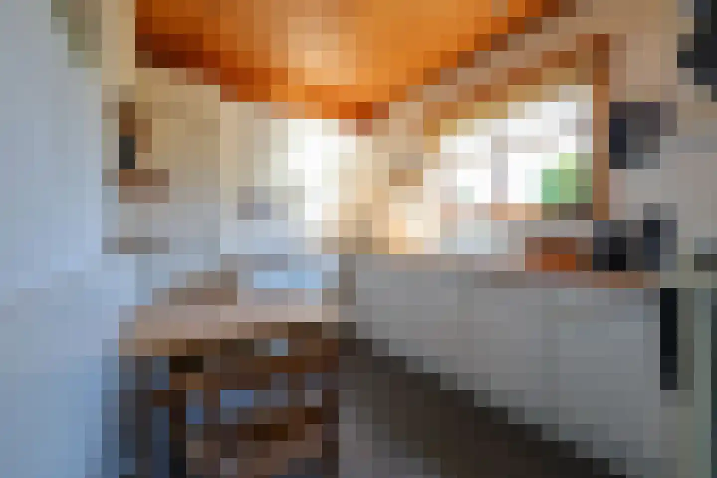 Turfweg 7 Bergen (NH) thumbnail 13