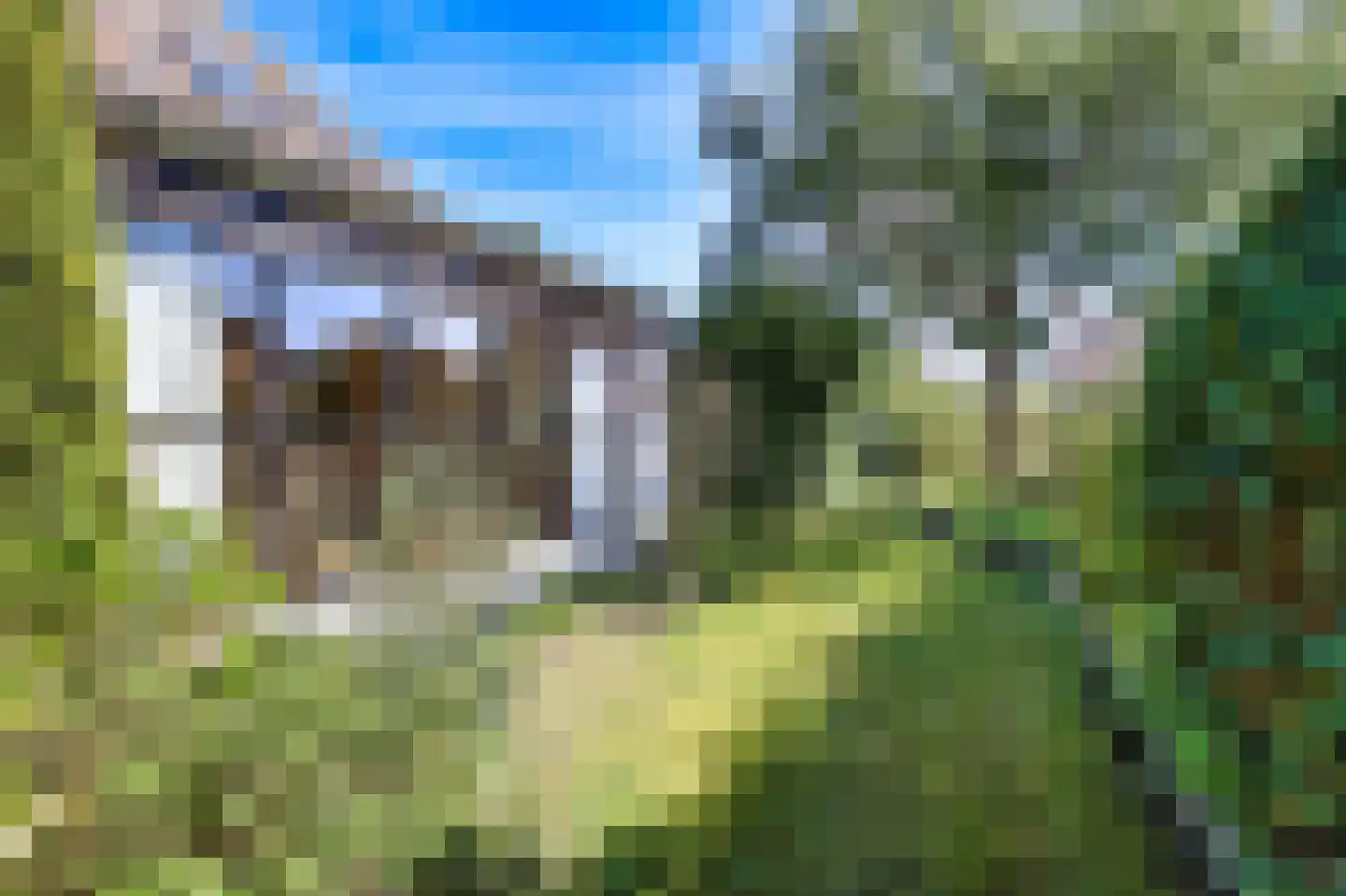 Turfweg 7 Bergen (NH) thumbnail 32