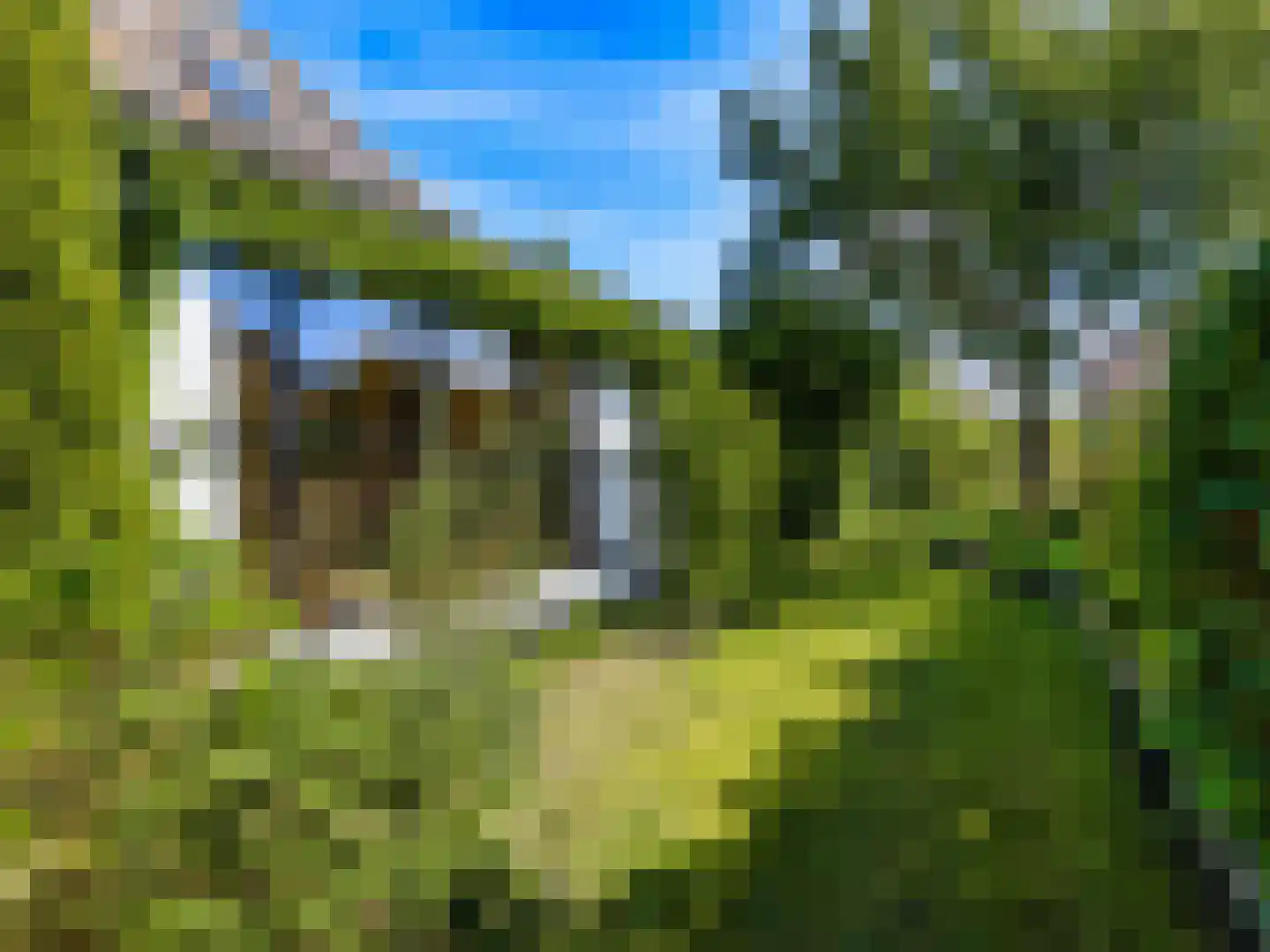Turfweg 7 Bergen (NH) thumbnail 32