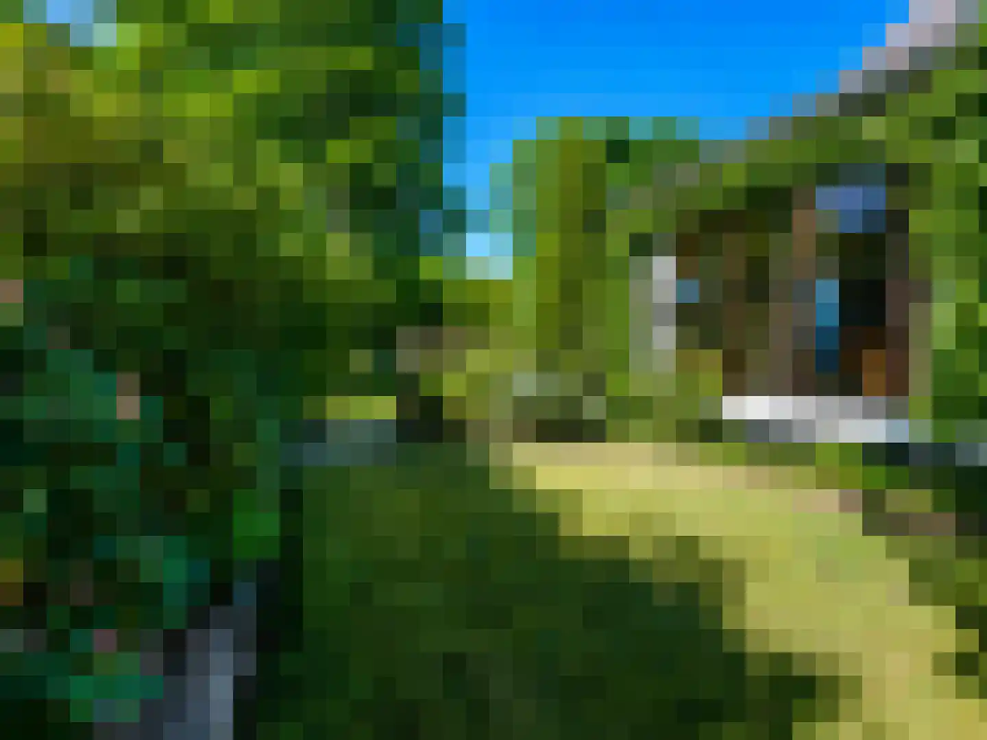 Turfweg 7 Bergen (NH) thumbnail 33