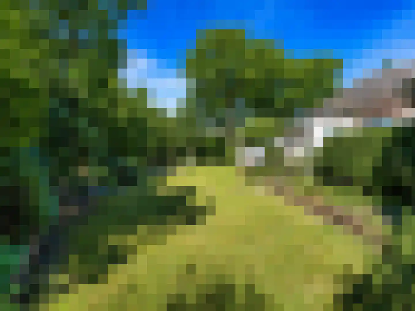 Turfweg 7 Bergen (NH) thumbnail 34