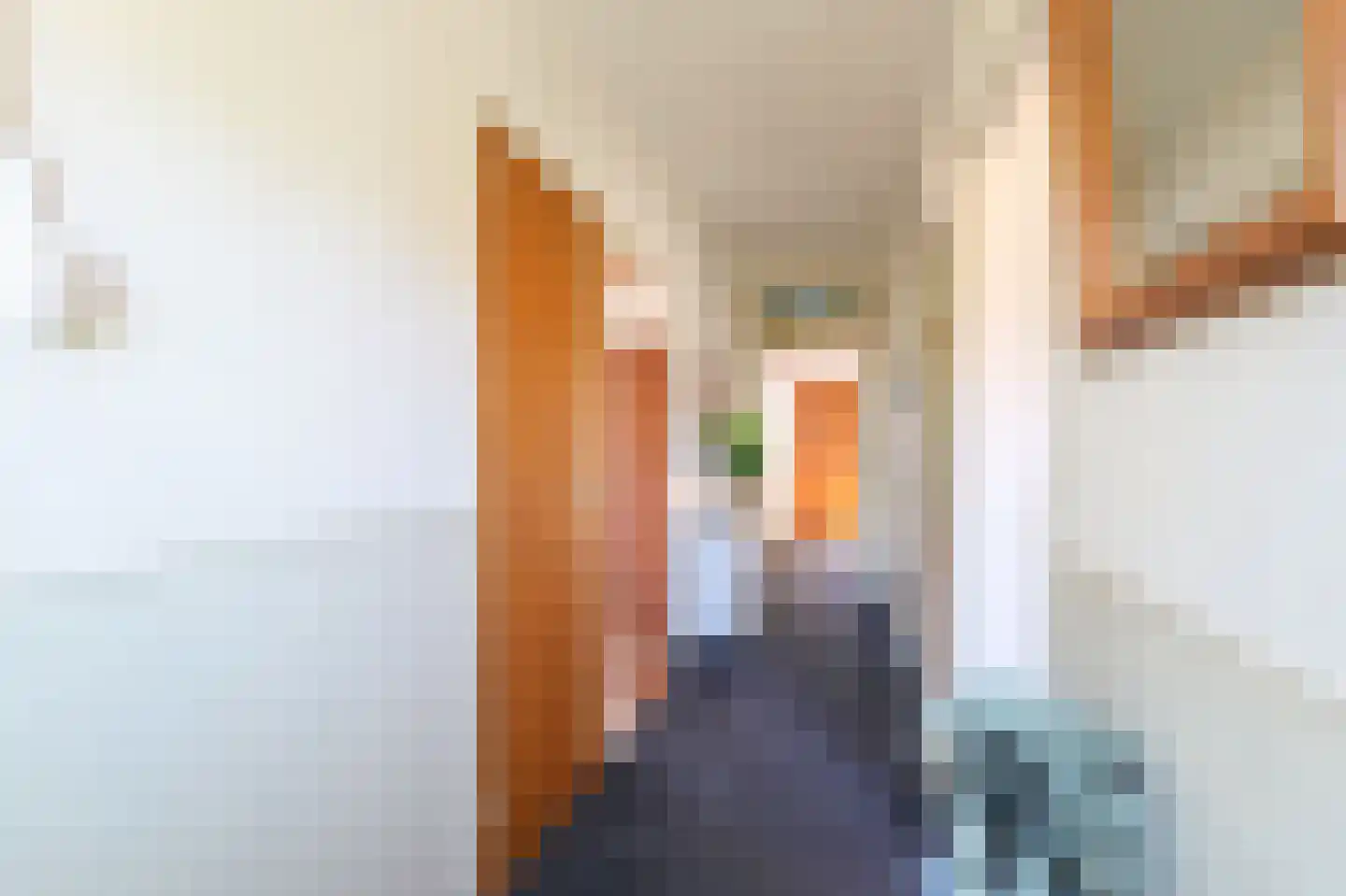 Turfweg 7 Bergen (NH) thumbnail 7