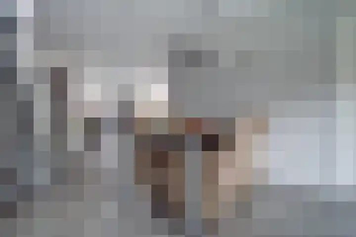Turfweide 10 Hellevoetsluis thumbnail 13