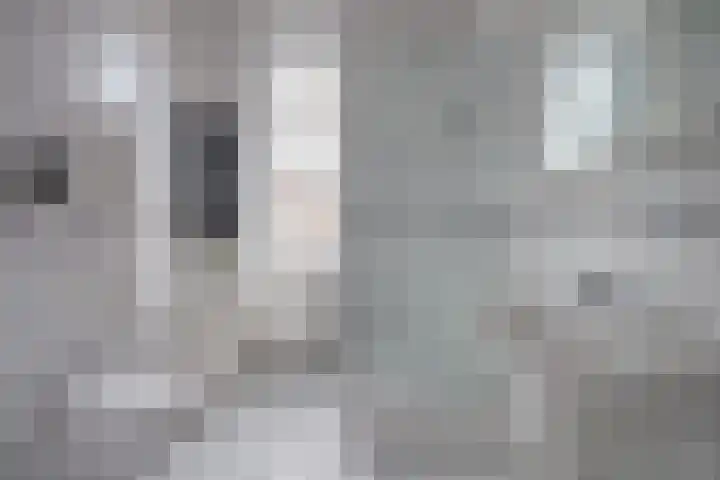 Turfweide 10 Hellevoetsluis thumbnail 28