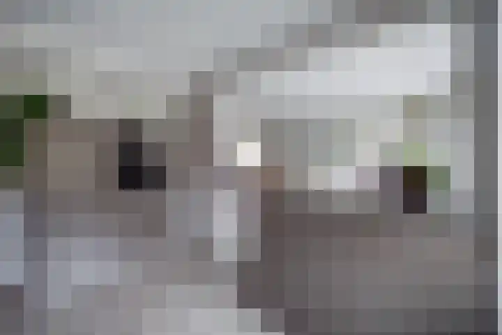 Turfweide 10 Hellevoetsluis thumbnail 8