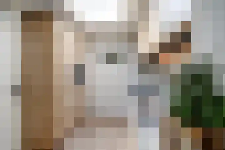 Turijnstraat 12 Eindhoven thumbnail 17