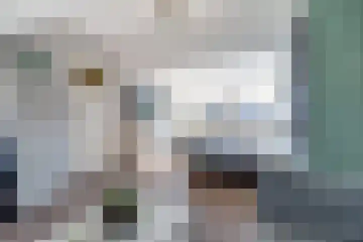 Turijnstraat 12 Eindhoven thumbnail 32