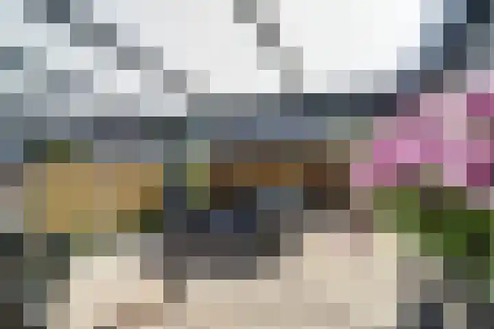 Turijnstraat 12 Eindhoven thumbnail 33